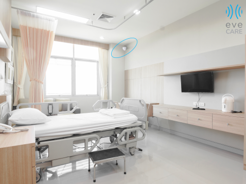 EveCare Hospital Bed render